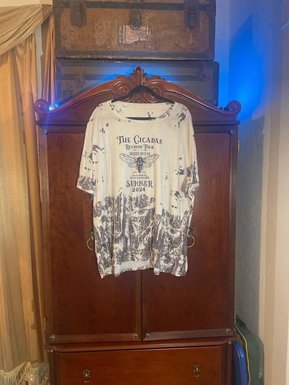 Unbranded The Cicadas Reunion Tour 2024 Broods XIII & XIX Graphic T-Shirt Size 4